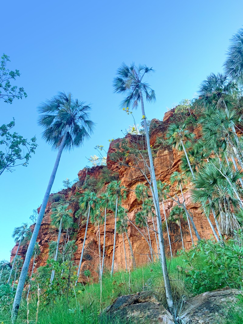 Aboriginal Tourism Development in NT Parks and Reserves Grant Program